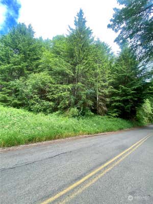 0 XXX MCCORMICK CREEK ROAD, PE ELL, WA 98572 - Image 1