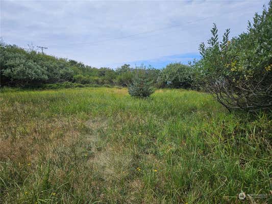 634 CANAL DR NE, OCEAN SHORES, WA 98569, photo 3 of 9