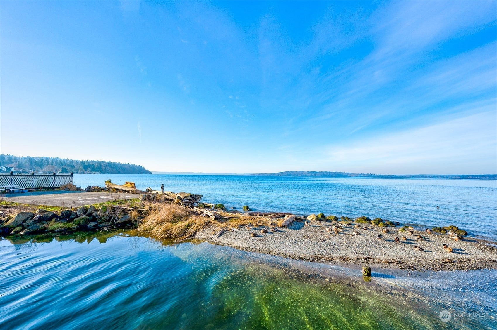 Burien, Washington, 98166, United States, ,5 BathroomsBathrooms,Residential,Pending,1702630