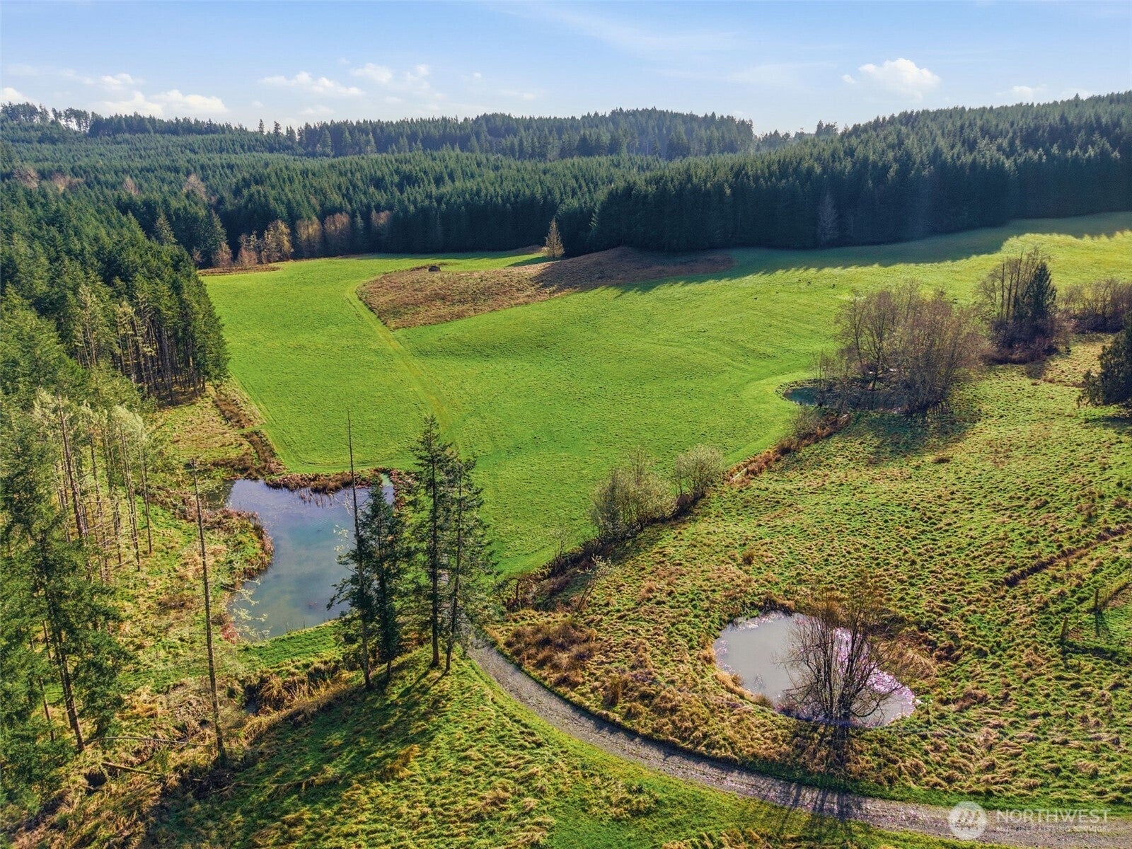 Rochester, Washington, 98579, United States, 3 Bedrooms Bedrooms, ,1 BathroomBathrooms,Residential,Active,2018183