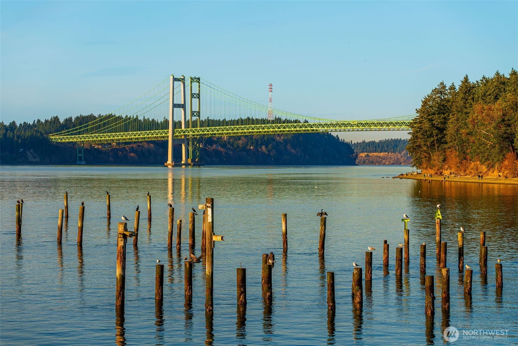 Tacoma, Washington, 98465, United States, 3 Bedrooms Bedrooms, ,4 BathroomsBathrooms,Residential,Active,1844266