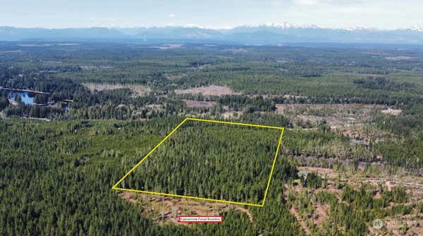 0 MASON LAKE ROAD, GRAPEVIEW, WA 98546 - Image 1