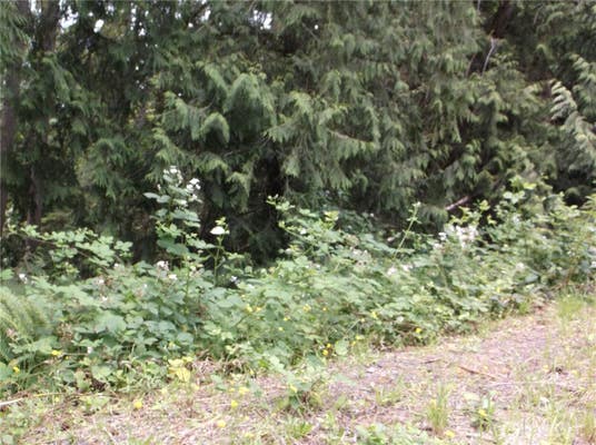 18012 123RD PL NE, ARLINGTON, WA 98223, photo 1 of 3