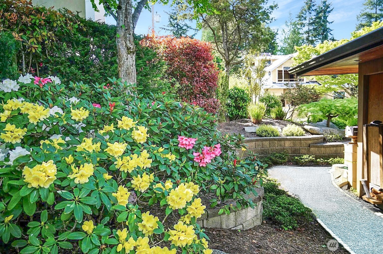 Bellevue, Washington, 98004, United States, 3 Bedrooms Bedrooms, ,2 BathroomsBathrooms,Residential,Active,1876689