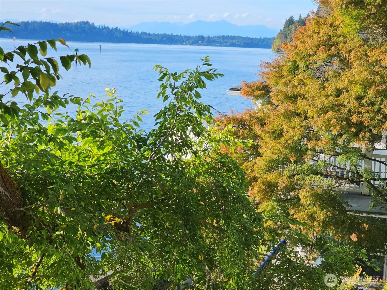 Olympia, Washington, 98506, United States, 3 Bedrooms Bedrooms, ,3 BathroomsBathrooms,Residential,Active,1953406