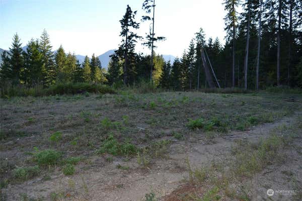 0 S SKATE CREEK RD., PACKWOOD, WA 98361 - Image 1