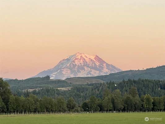 836 HARMAN WAY S SPC 9, ORTING, WA 98360 - Image 1