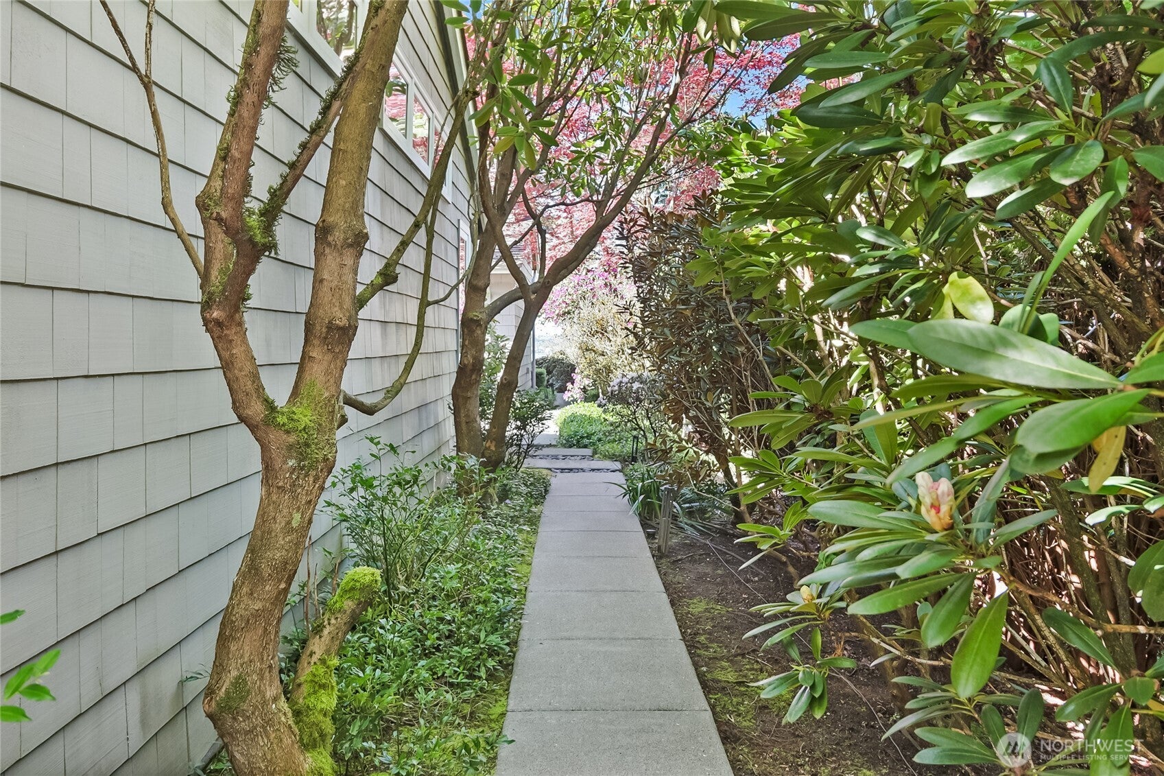 Medina, Washington, 98039, United States, 3 Bedrooms Bedrooms, ,3 BathroomsBathrooms,Residential,Active,1781504