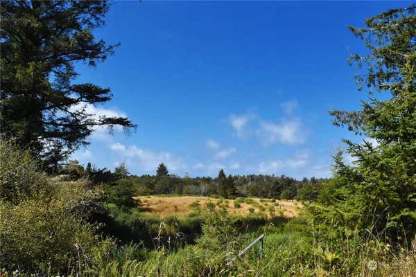 2917 OYSTERVILLE RD, OCEAN PARK, WA 98640 - Image 1