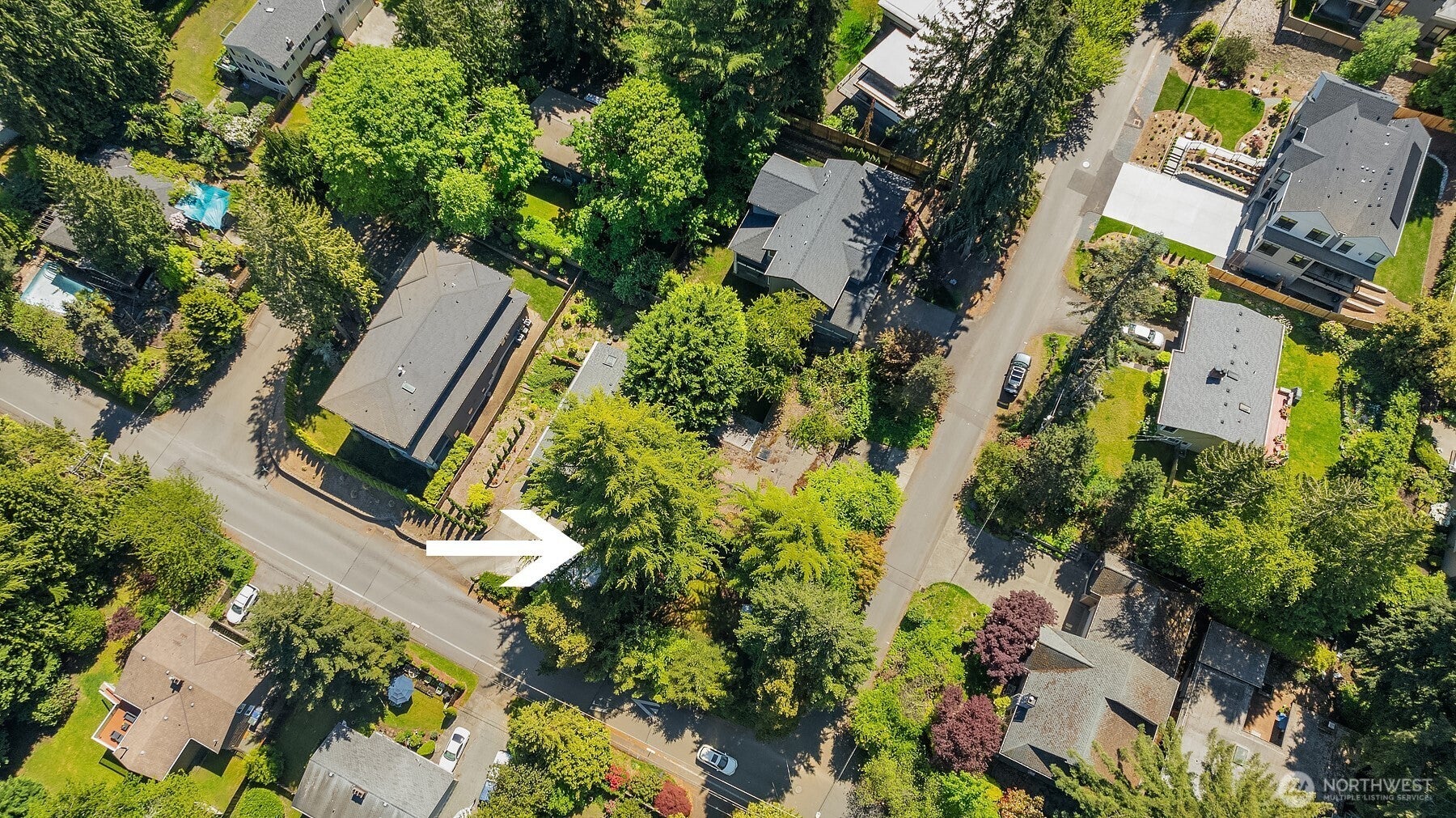 Bellevue, Washington, 98004, United States, 3 Bedrooms Bedrooms, ,2 BathroomsBathrooms,Residential,Active,1909851