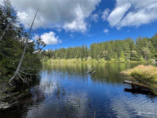 34 SILENT LAKE PL, QUILCENE, WA 98376, photo 3 of 19