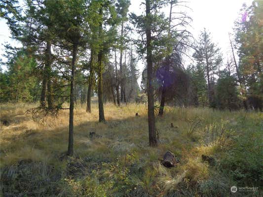 59 LOT RED FEATHER ROAD, RIVERSIDE, WA 98849 - Image 1