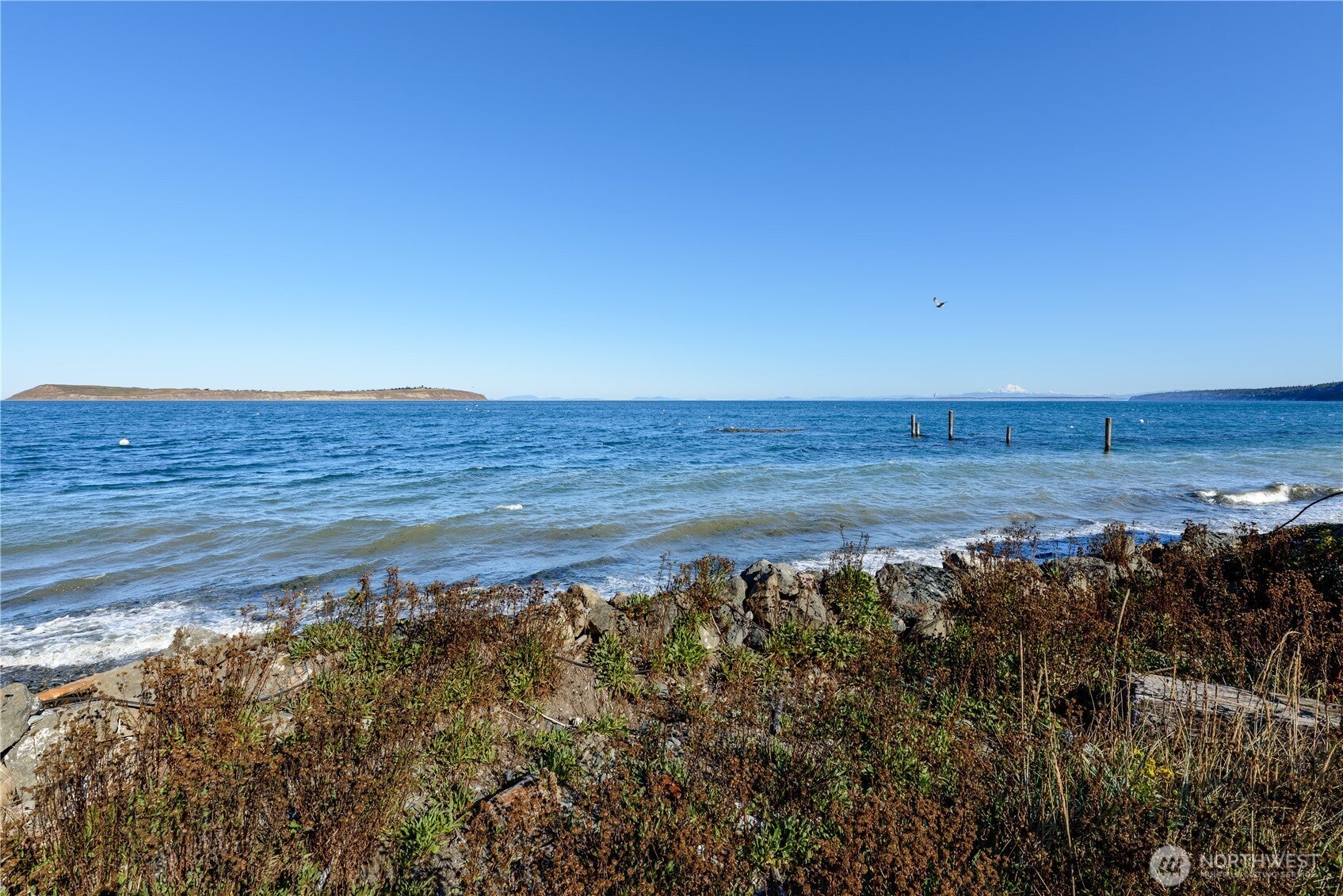 Sequim, Washington, 98382, United States, 2 Bedrooms Bedrooms, ,2 BathroomsBathrooms,Residential,Active,1967307