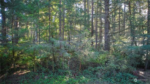 10217 ECKENSTAM JOHNSON RD, ANDERSON ISLAND, WA 98303 - Image 1