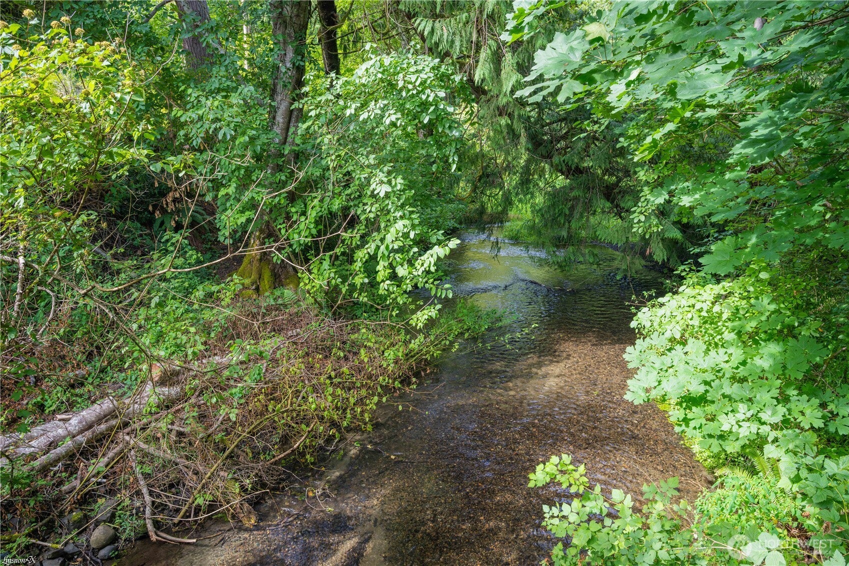Olympia, Washington, 98516, United States, 3 Bedrooms Bedrooms, ,3 BathroomsBathrooms,Residential,Active,1945848