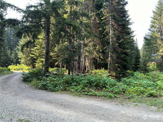 18 ALASKAMOUNTAIN RD, SNOQUALMIE PASS, WA 98068 - Image 1