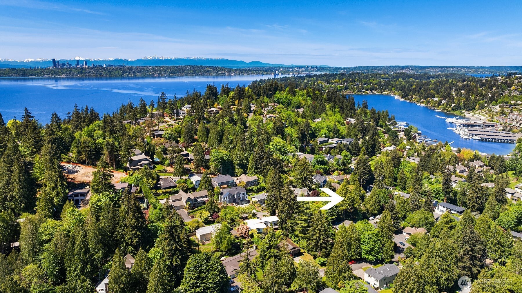 Bellevue, Washington, 98004, United States, 3 Bedrooms Bedrooms, ,2 BathroomsBathrooms,Residential,Active,1909851