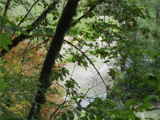 0 TAHUYA RIVER TRACT TR3, TAHUYA, WA 98588 - Image 1