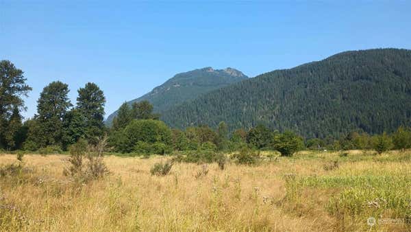 0 LOT B9C LONE TREE ROAD, RANDLE, WA 98377 - Image 1