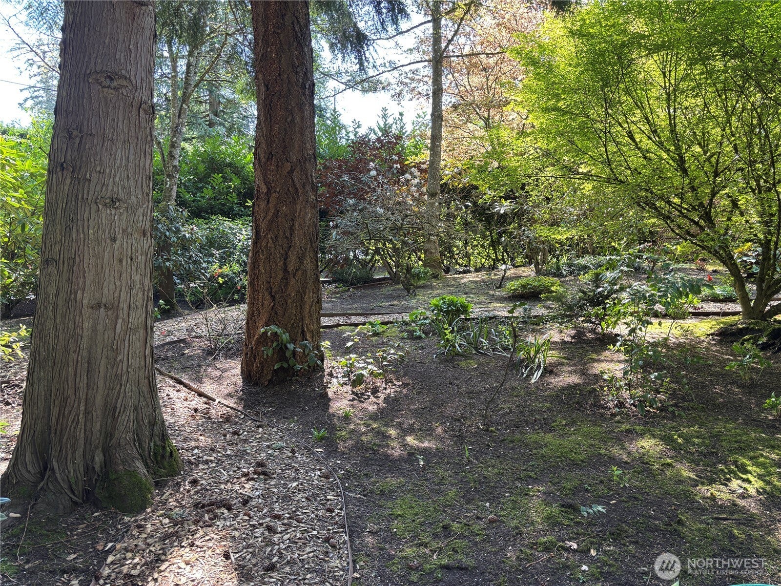 Medina, Washington, 98039, United States, 3 Bedrooms Bedrooms, ,3 BathroomsBathrooms,Residential,Active,1781504