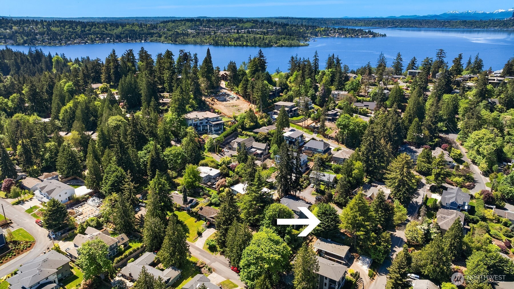 Bellevue, Washington, 98004, United States, 3 Bedrooms Bedrooms, ,2 BathroomsBathrooms,Residential,Active,1909851