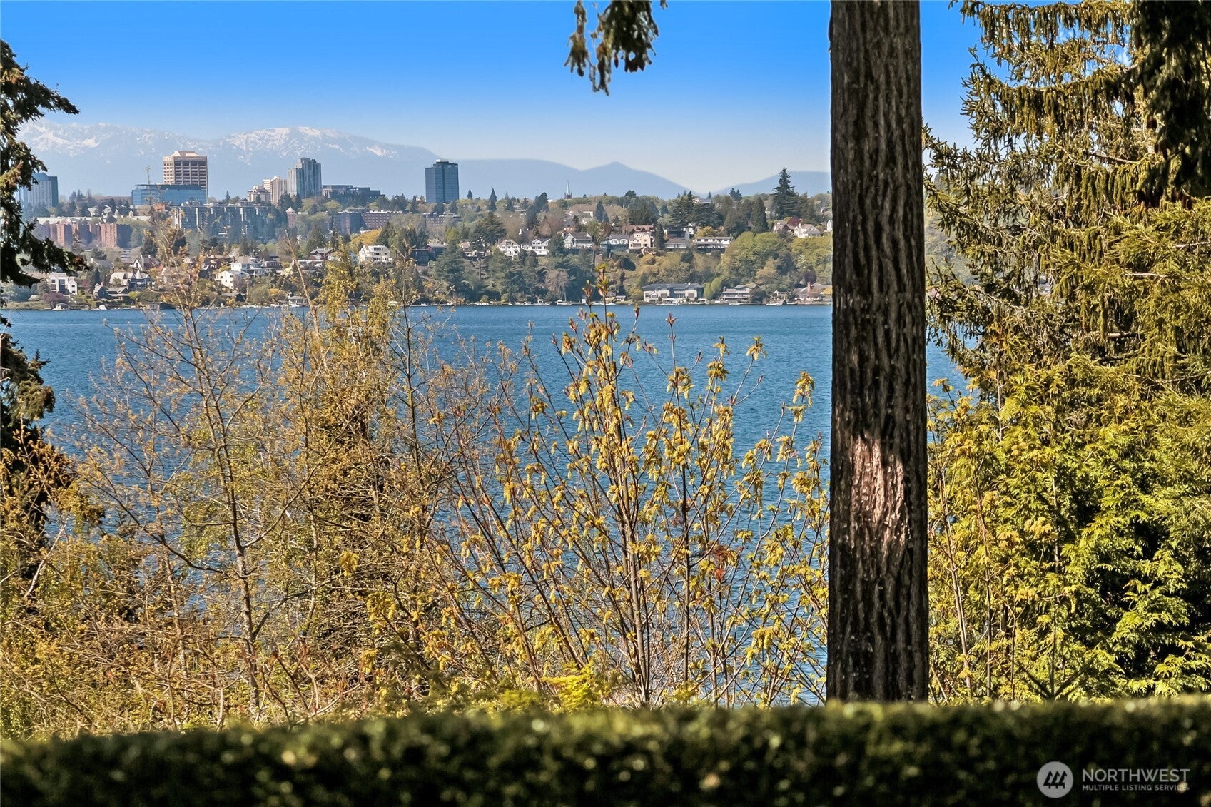 Medina, Washington, 98039, United States, 3 Bedrooms Bedrooms, ,3 BathroomsBathrooms,Residential,Active,1781504