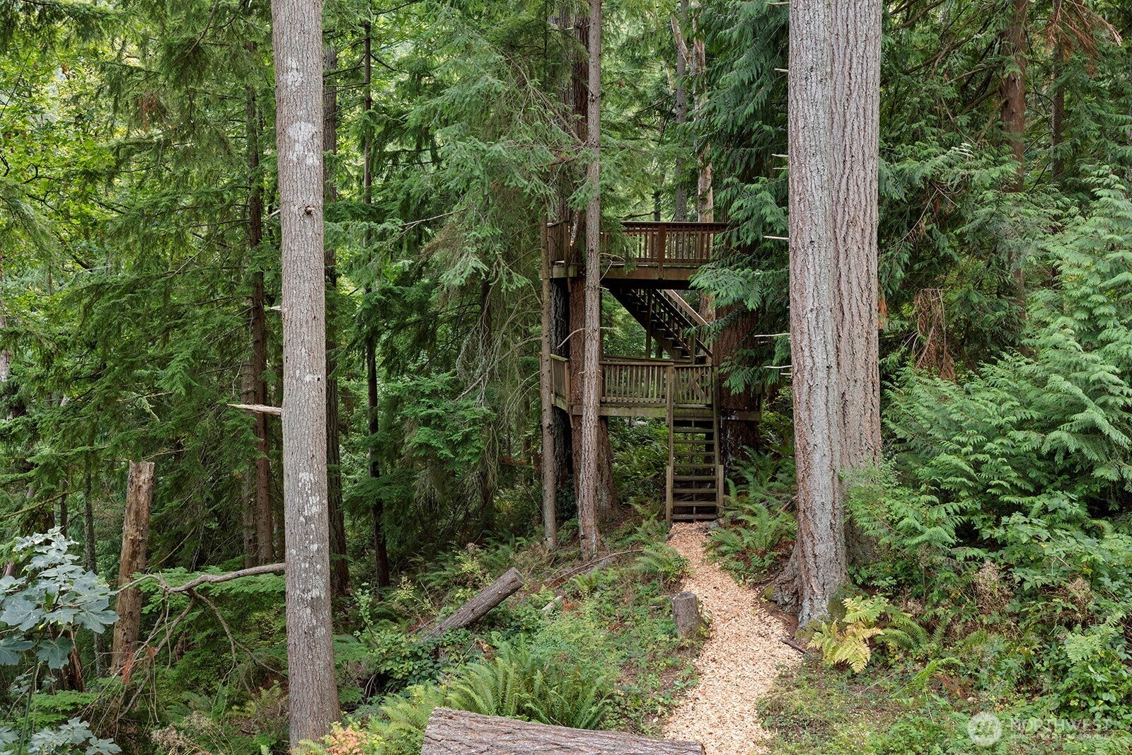 Issaquah, Washington, 98027, United States, 4 Bedrooms Bedrooms, ,3 BathroomsBathrooms,Residential,Active,1952447