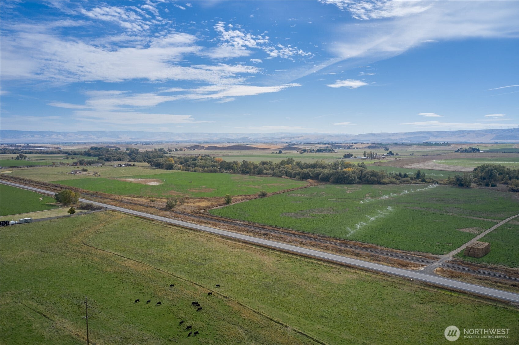 Walla Walla, Washington, 99362, United States, 5 Bedrooms Bedrooms, ,6 BathroomsBathrooms,Residential,Active,1967110