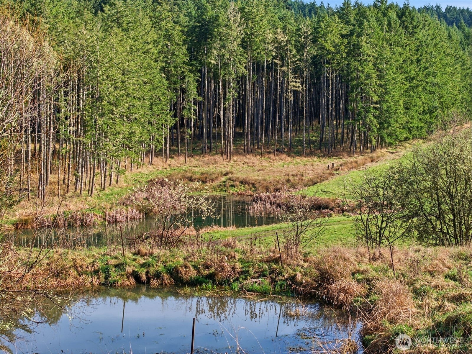 Rochester, Washington, 98579, United States, 3 Bedrooms Bedrooms, ,1 BathroomBathrooms,Residential,Active,2018183