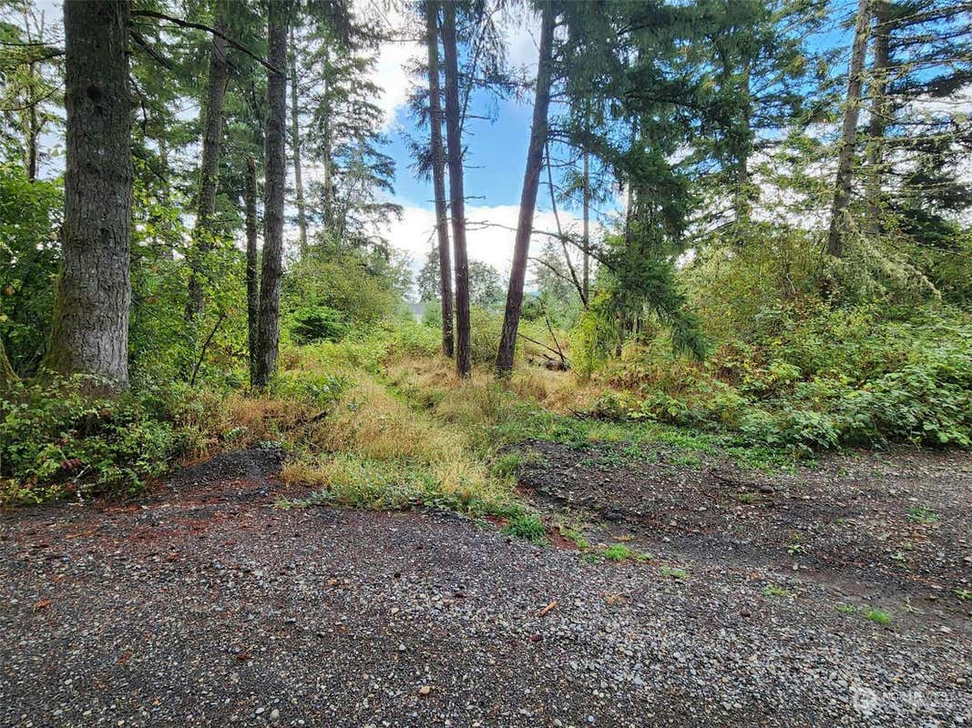 11736 VAIL CUT OFF RD SE, RAINIER, WA 98576, photo 1 of 8