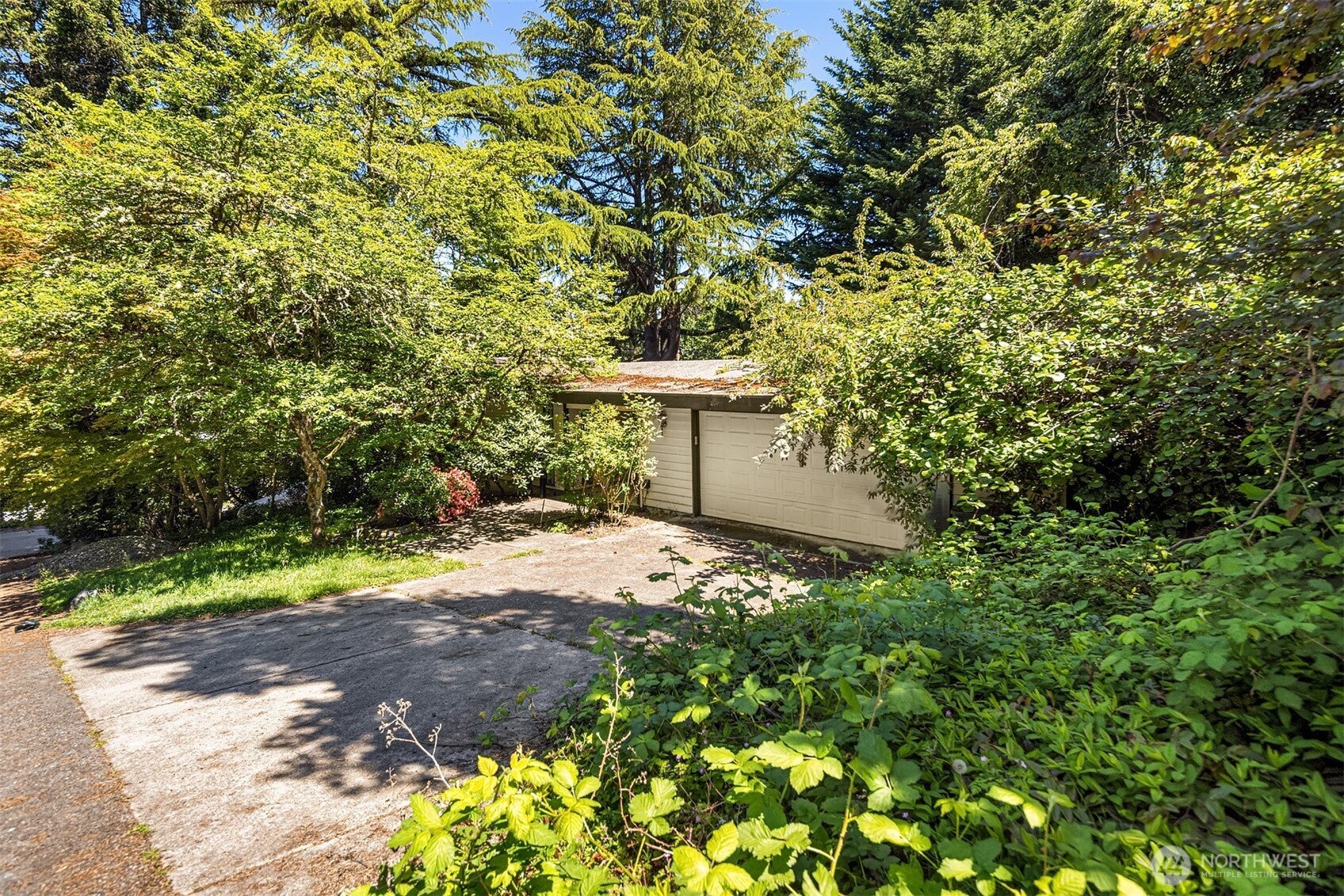 Bellevue, Washington, 98004, United States, 3 Bedrooms Bedrooms, ,2 BathroomsBathrooms,Residential,Active,1909851