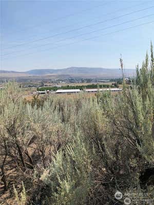 1 PATS LN LOT 1, OMAK, WA 98841 - Image 1