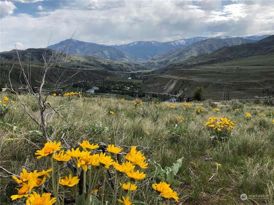 2 RIVERBEND OVERLOOK, METHOW, WA 98834 - Image 1