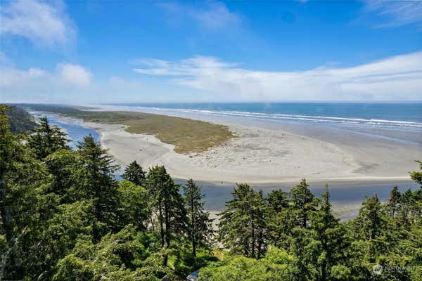 21 OCEAN VIEW LN, COPALIS BEACH, WA 98535 - Image 1