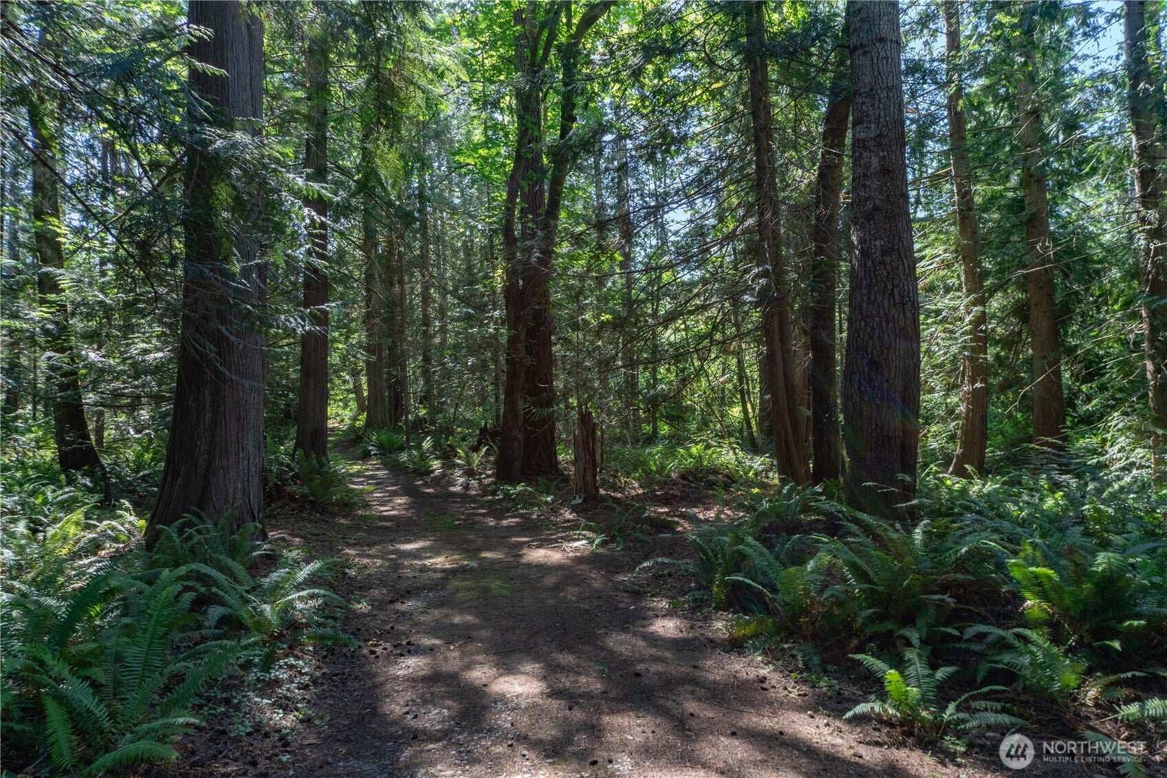 Brinnon, Washington, 98320, United States, 2 Bedrooms Bedrooms, ,4 BathroomsBathrooms,Residential,Active,1852670