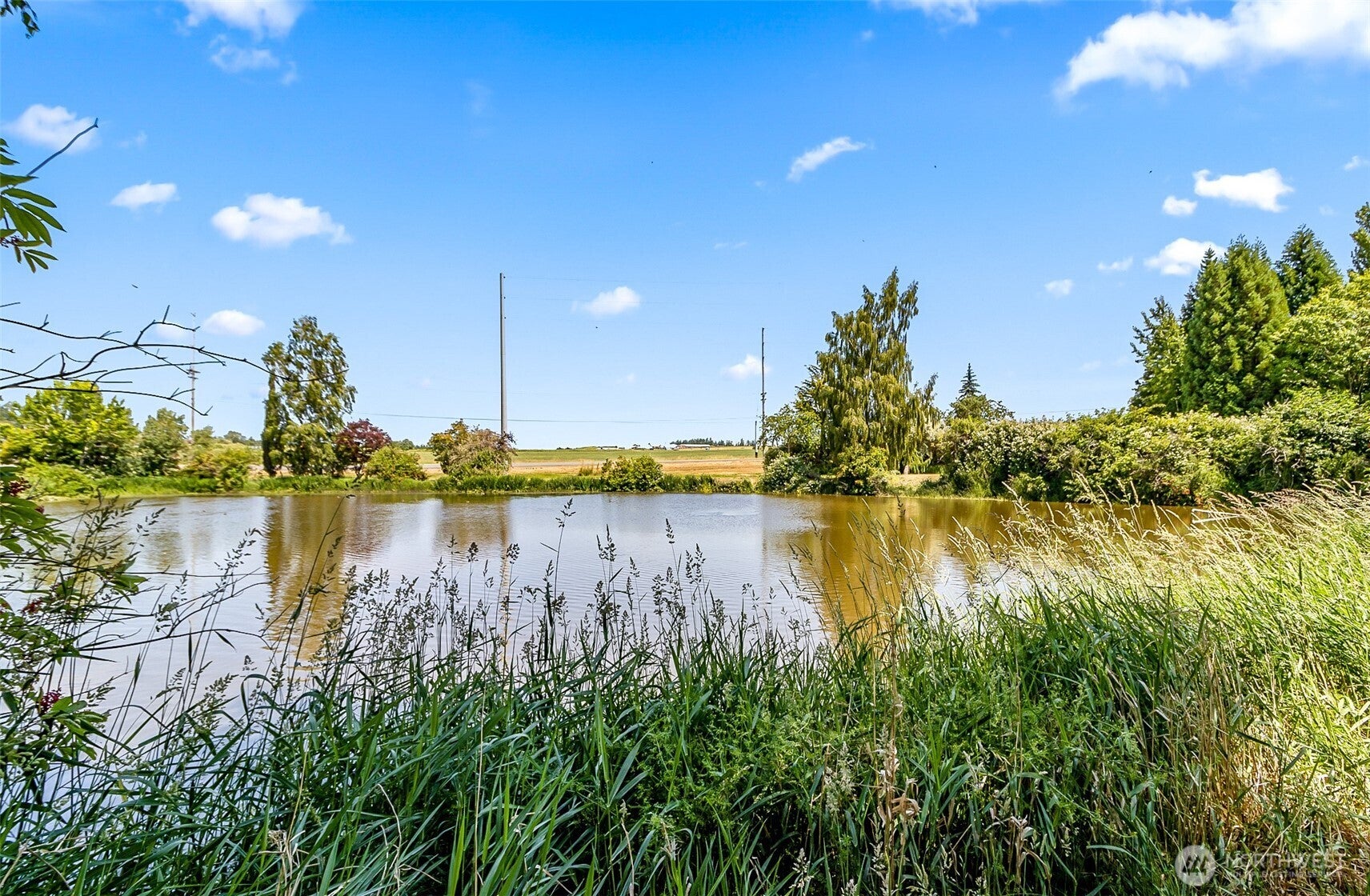Camano Island, Washington, 98282, United States, 3 Bedrooms Bedrooms, ,3 BathroomsBathrooms,Residential,Active,1862878