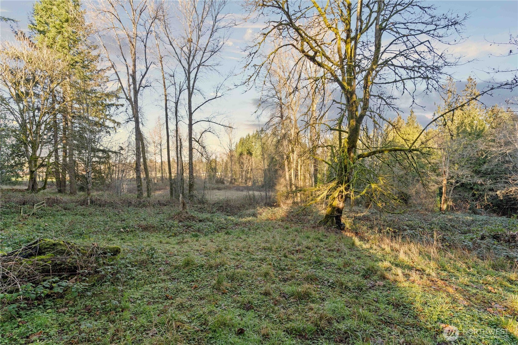 Auburn, Washington, 98092, United States, 3 Bedrooms Bedrooms, ,4 BathroomsBathrooms,Residential,Active,2011442