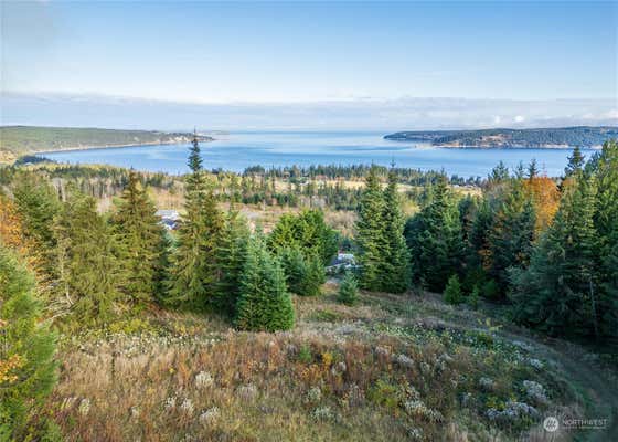 313 VIEW RIDGE DR, SEQUIM, WA 98382 - Image 1