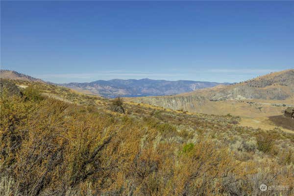 0 LOT 4 MCNEIL CANYON ROAD, ORONDO, WA 98843 - Image 1