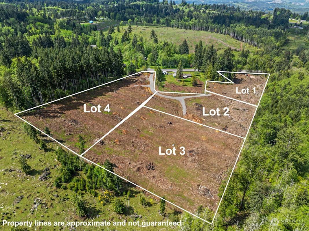 0 SPIRIT LAKE HIGHWAY # LOT 2, CASTLE ROCK, WA 98611, photo 1 of 8