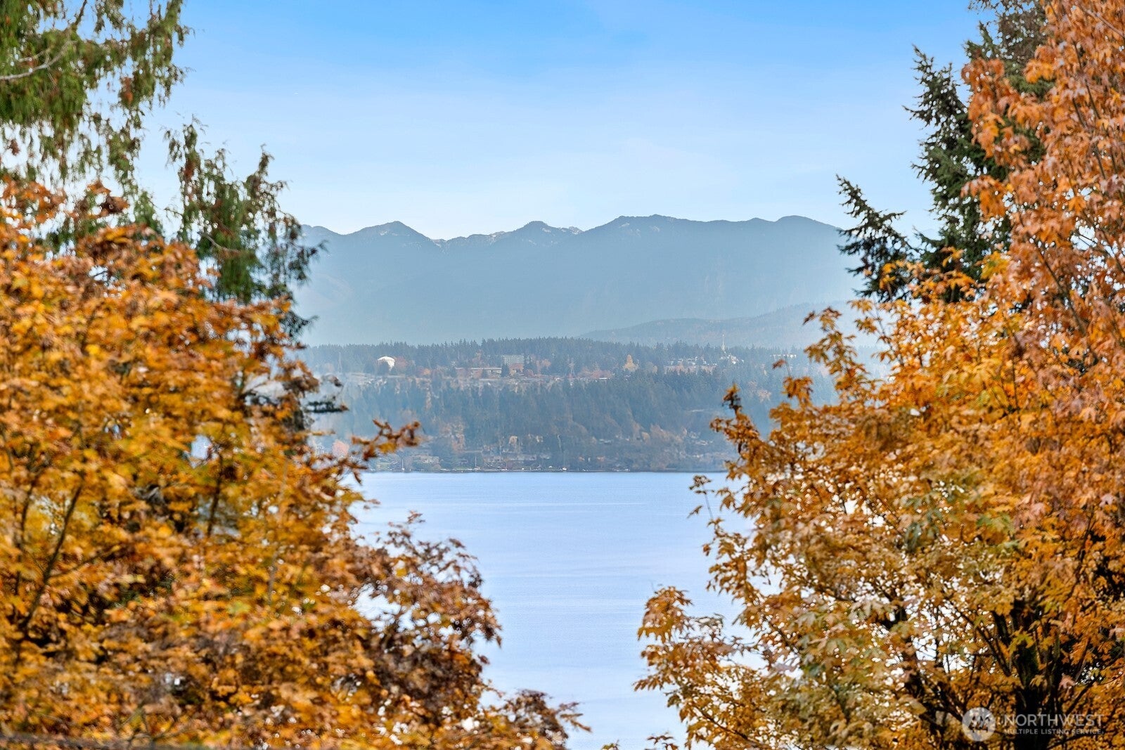 Seattle, Washington, 98122, United States, 3 Bedrooms Bedrooms, ,3 BathroomsBathrooms,Residential,Active,1988423