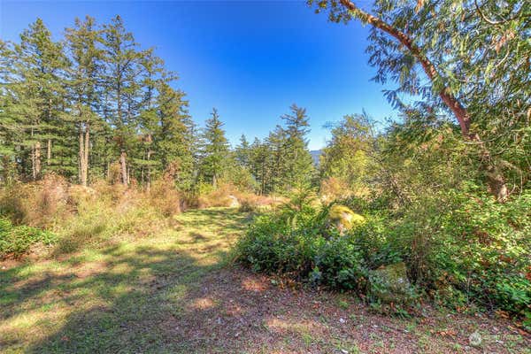 249 OSPREY LN, EASTSOUND, WA 98245 - Image 1