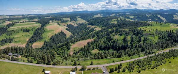 0 LEWIS PEAK ROAD, DIXIE, WA 99329 - Image 1