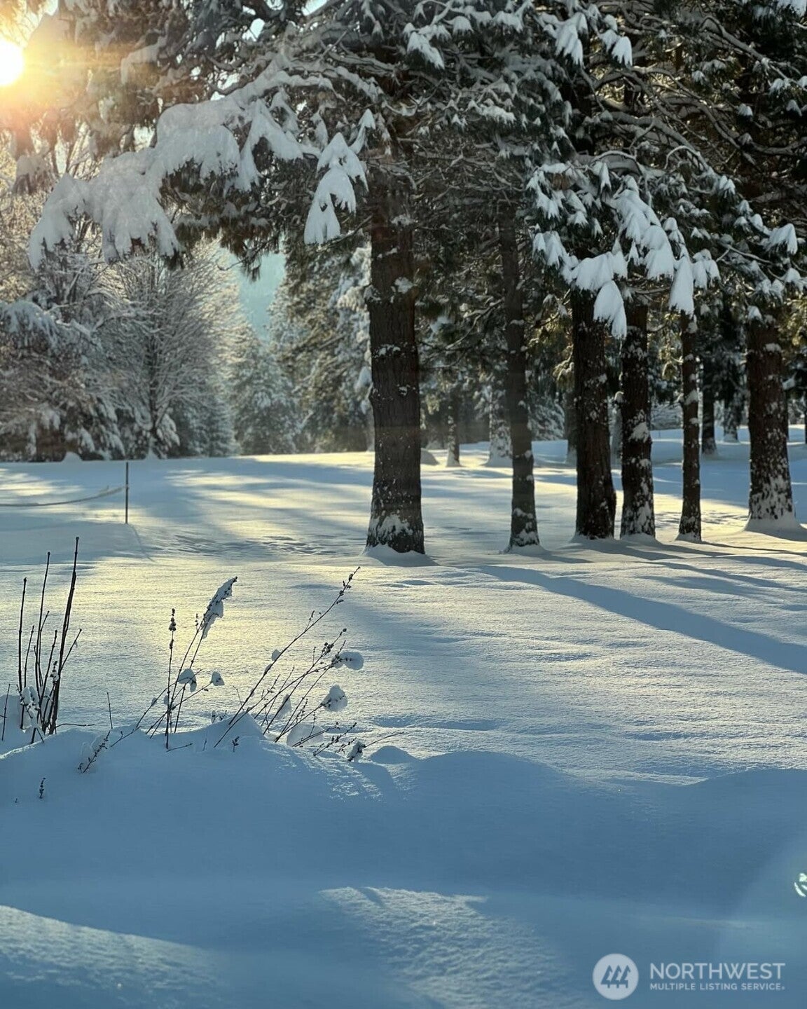 Leavenworth, Washington, 98826, United States, 3 Bedrooms Bedrooms, ,2 BathroomsBathrooms,Residential,Active,1969776