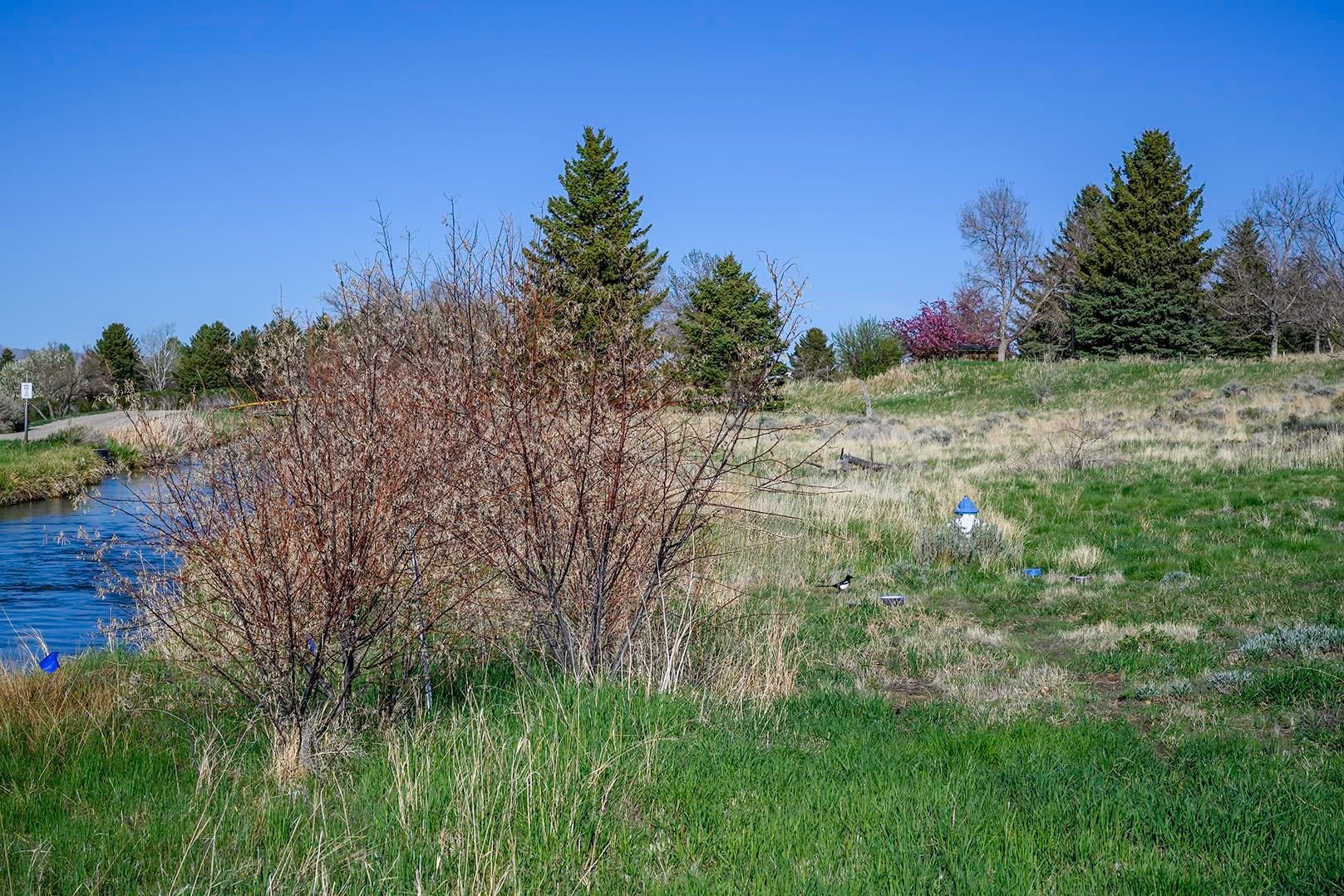 Cody, Wyoming, 82414, United States, ,6 BathroomsBathrooms,Residential,Active,1820442