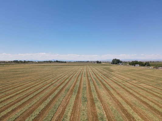 TBD LANE 8 1/2, POWELL, WY 82435 - Image 1