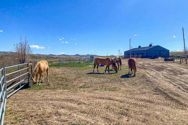 216 ROAD 3DX, CODY, WY 82414, photo 3 of 21