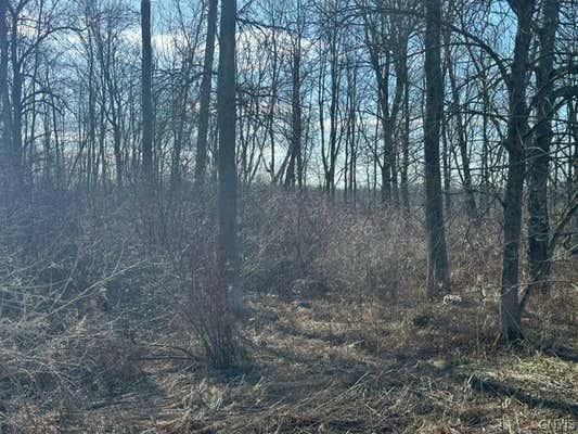 LOT 29 TASSONE DRIVE, ELLISBURG, NY 13636 - Image 1