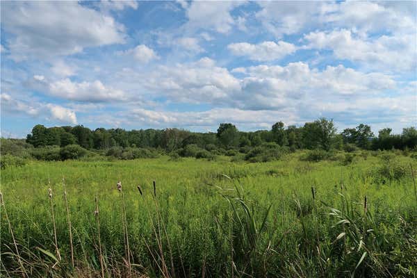 LOT 1 STALEY ROAD, WILLET, NY 13863, photo 4 of 7