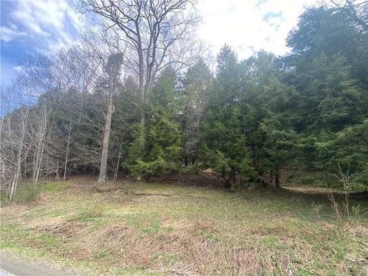 0- (LOT B) PIERMOTT LANE, HARTWICK, NY 13348 - Image 1